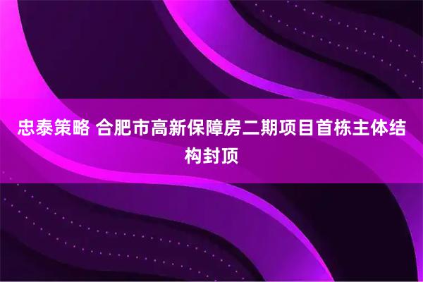 忠泰策略 合肥市高新保障房二期项目首栋主体结构封顶