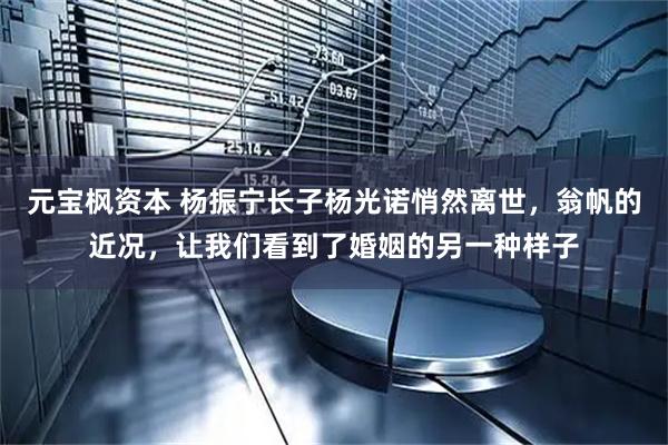 元宝枫资本 杨振宁长子杨光诺悄然离世，翁帆的近况，让我们看到了婚姻的另一种样子