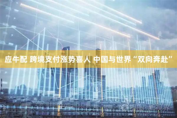 应牛配 跨境支付涨势喜人 中国与世界“双向奔赴”